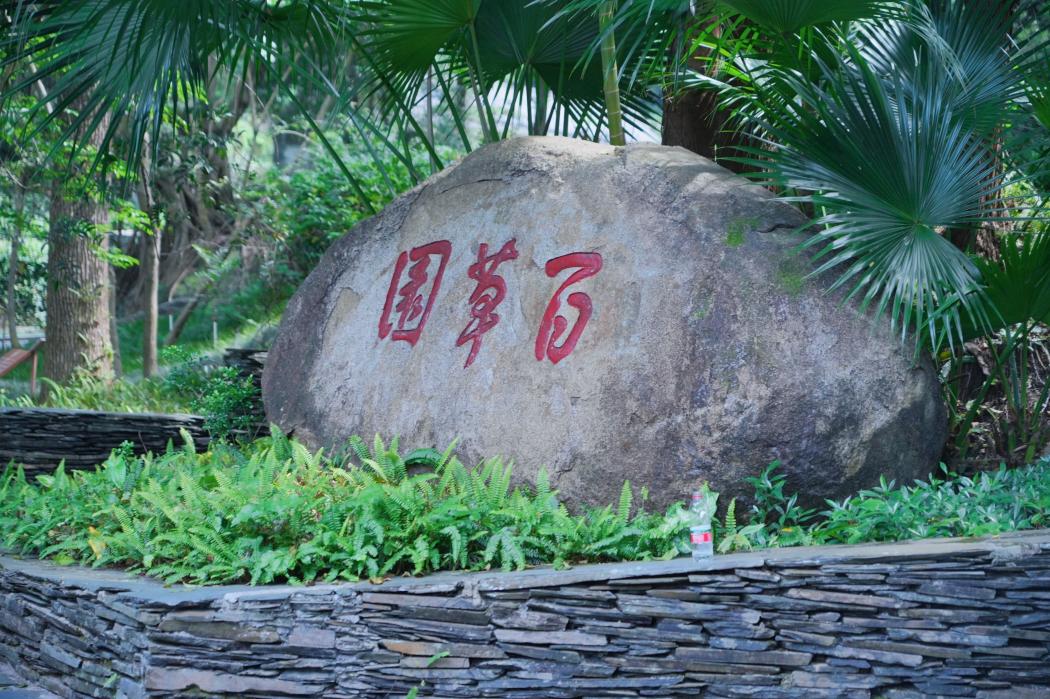 DSC06528-opq4646732183