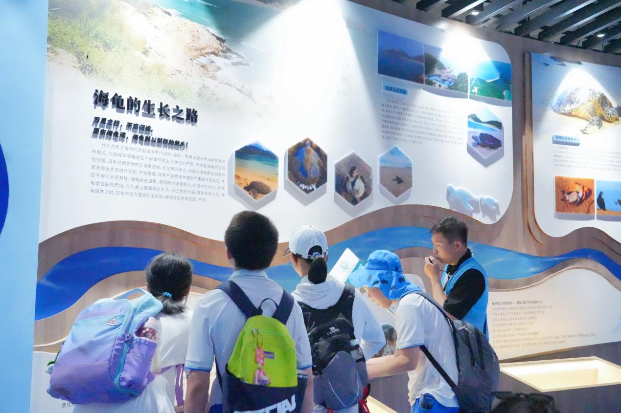五山校区惠州研学Day 3：探秘滨海生态、解码海龟科普、践行守护初心